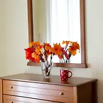 Vaso Apartment Nydri (Lefkada)
